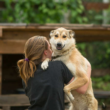 Young girl hugging a dog (looking at the camera)の写真素材