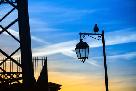 Silhouette of the street lamp and the sitting bird against the blue sky.の写真素材