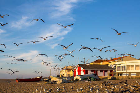 Fishing village on Atlantic coast of Portugal. Seagulls take off from the beach.の写真素材