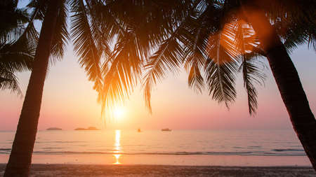 Wonderful sunset on the beach with coconut trees.の写真素材