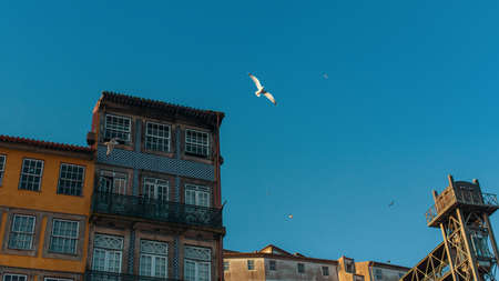 Buildings of houses in old Porto downtown, Portugal.の写真素材