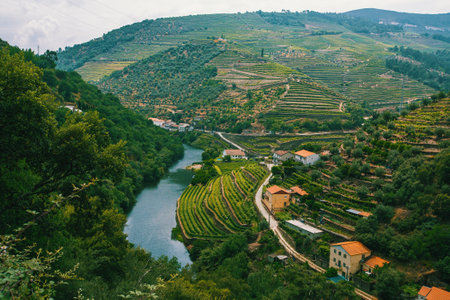 Douro Valley, Portugal. Top view of river, and the vineyards are on a hills.のeditorial素材
