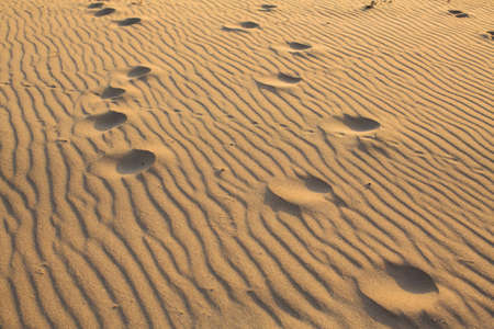 Footprints on the wavy golden sand beach.の写真素材