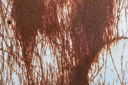 Texture material rusty sheet metal.の写真素材