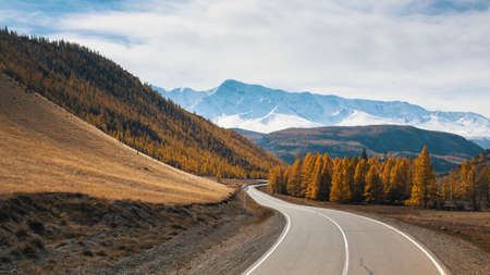 View of Chuya Highway and yellow autumn forest on a background of the mountain North-Chuya ridge of Altai Republic, Russia.の写真素材