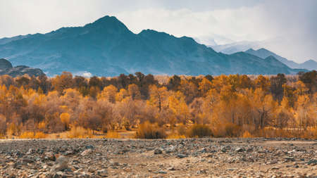 Views of the mountains of Western Mongolia.