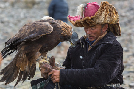 BAYAN-ULGII, MONGOLIA - SEP 30, 2017: Mongolian Kazakh Eagle Hunter traditional clothing, holding a...