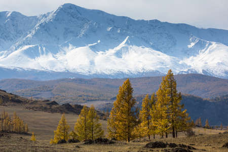 View of the mountain North-Chuya ridge of Altai Republic, Russia.の写真素材