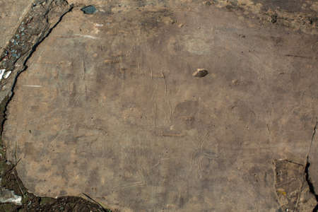 Petroglyphs. Ancient rock paintings in the Altai Mountains, Russia.
