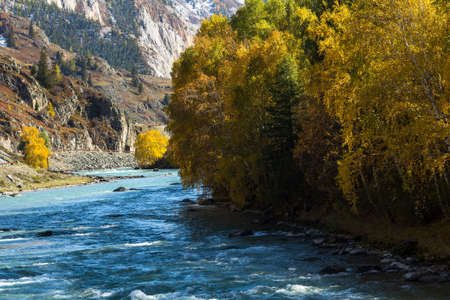 Katun river in the Altai mountains, Russia.の写真素材