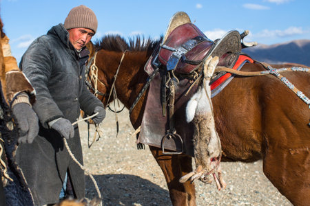 BAYAN-ULGIY, MONGOLIA - SEP 27, 2017: Kazakh Eagle Hunter at traditional clothing, on horseback while hunting to the hare holding a golden eagle on his arm in desert mountain of Western Mongolia.のeditorial素材