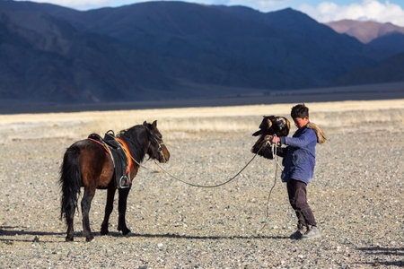 SAGSAY, MONGOLIA - SEP 28, 2017: Golden Eagle Hunter, while hunting to the hare holding a golden...