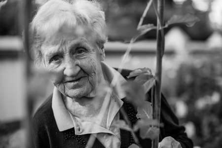 Elderly woman in the garden. Black and white portrait.の写真素材