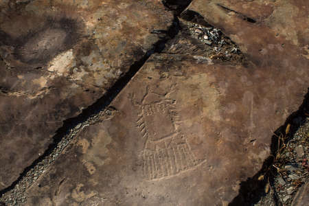 Petroglyphs of Altai Republic, Russia.の写真素材