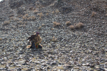 BAYAN-ULGII, MONGOLIA - SEP 30, 2017: Kazakh Eagle Hunter traditional clothing, while hunting to the hare holding a golden eagle on his arm in desert mountain of Western Mongolia.のeditorial素材