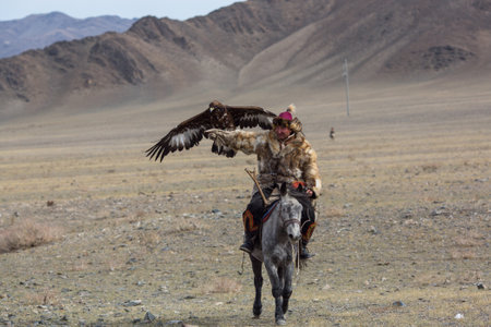 BAYAN-ULGII, MONGOLIA - SEP 30, 2017: Kazakh Eagle Hunter traditional clothing, while hunting to the hare holding a golden eagle on his arm in desert mountain of Western Mongolia.のeditorial素材