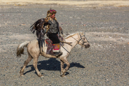 SAGSAY, MONGOLIA - SEP 28, 2017: Golden Eagle Hunter, while hunting to the hare holding a golden...