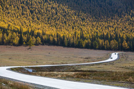 Chuya highway or Chuysky Trakt of Altai Republic, Russia.の写真素材
