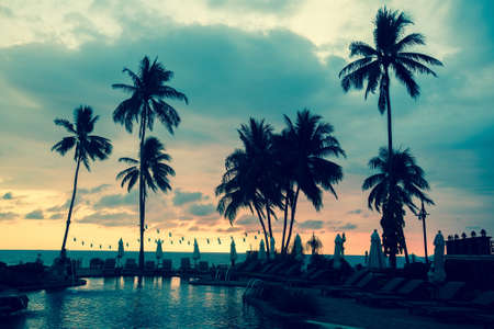 Palm trees silhouettes on a tropical sea beach during sunset.の写真素材