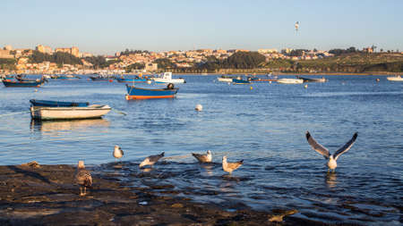 Waterfront of the Douro river with fishing boats and seagulls, Porto, Portugal. の写真素材