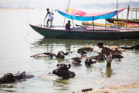 VARANASI, INDIA - MAR 14, 2018: On the banks of the Holy Ganga river. Varanasi is most important pilgrimage sites in India, one of the 7 sacred cities of Hinduism, a Holy city for Buddhists and Jains.のeditorial素材