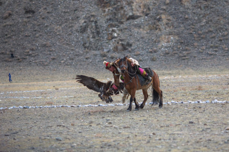 OLGIY, MONGOLIA - SEP 30, 2017: Golden Eagle Hunter at traditional clothing, with a golden eagle on his arm during annual national competition with birds of prey Berkutchi of West Mongolia.のeditorial素材
