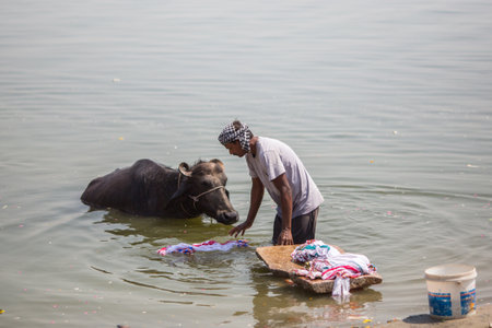 VARANASI, INDIA - MAR 14, 2018: A man washes sheets in the Holy Ganga river. Varanasi is one of the most important pilgrimage sites in India and is one of the 7 sacred cities of Hinduism.のeditorial素材