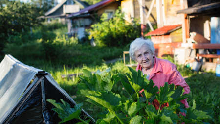 An elderly woman in the garden of his village house.