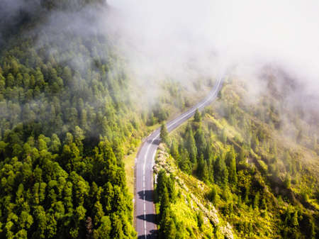 Mountain road shrouded in fog.の写真素材