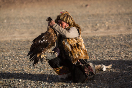 SAGSAY, MONGOLIA - SEP 28, 2017: Berkutchi (Kazakh Eagle Hunter) while hunting to the hare with a...