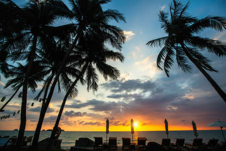 Tropical palm trees silhouetted against a dusk blue sky on the sea beach.
