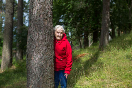 An elderly woman in a red jacket walks in a pine Park.の写真素材