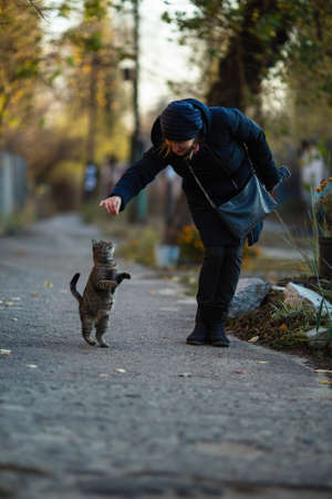 Woman plays with gray cat on the street.の写真素材