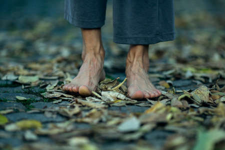 Feet close-up stands barefoot on autumn foliage.の写真素材