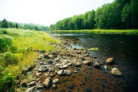 View of the river in the summer of Russia.