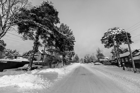 Winter rural landscape, in the Republic of Karelia, Russia. Black and white photo.の写真素材