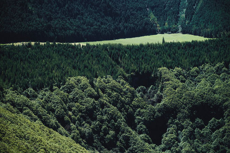 Landscapes on the San Miguel Island, Azores Archipelago, Portugal.