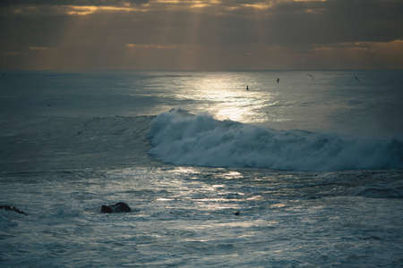 The surf on the ocean coast in cloudy weather during dusk.