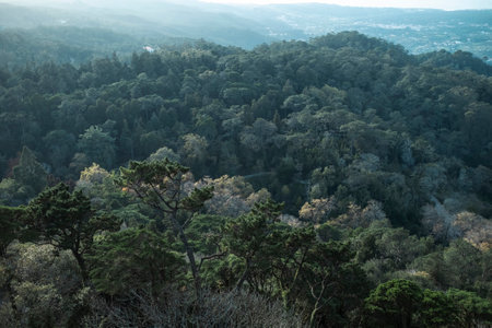 View of the national park in Sintra, Portugal.の写真素材