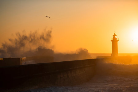 A huge wave at the Lighthouse of Felgueiras in Porto during a golden sunset, Portugal.の写真素材