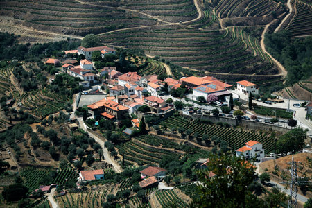 A view of residential houses in the hills of the Douro Valley in Portugal.の写真素材