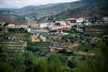 A view of a settlement in the suburb of Pinhao, Douro Valley in Portugal.の写真素材