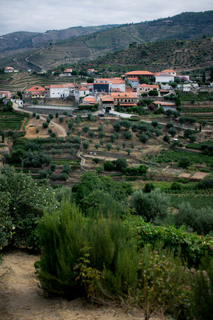 View of the vineyards near the town of Pinhao, Douro Valley in Portugal.の写真素材