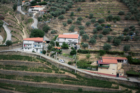 A hillside village in the Douro Valley, Portugal.の写真素材
