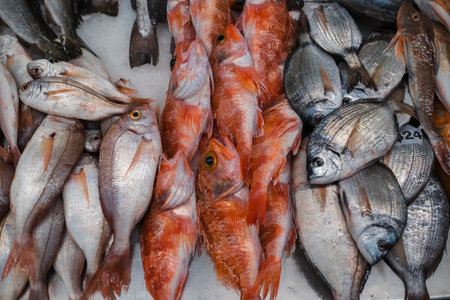 A variety of oceanic fish at market.の写真素材
