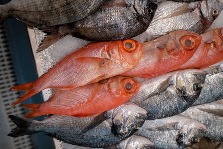 Fresh saltwater fish is on sale.