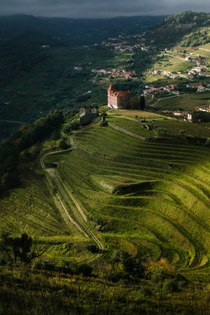 Portuguese village with vineyards in the hills of the Douro Valley.の写真素材