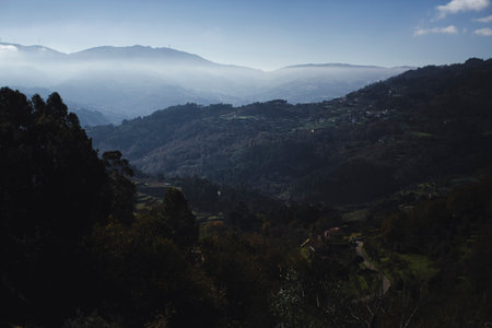 The misty Douro Valley in late fall. Portugal.の写真素材
