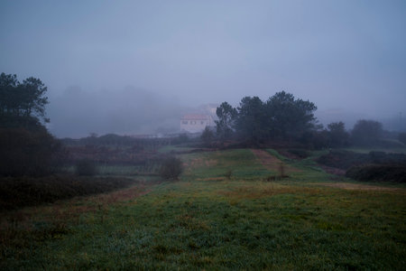 A foggy morning on the Santiago Way in Galicia.の写真素材