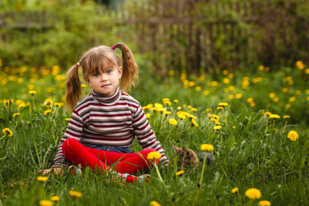 A cute little girl is having a fun time sitting in a meadow.の写真素材